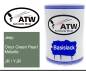 Preview: Jeep, Onyx Green Pearl Metallic, JR / YJR: 500ml Lackdose, von ATW Autoteile West.